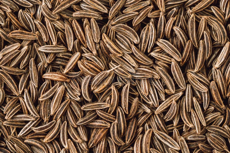 Cumin Seed Aromatic Spice, Food Background Stock Photo Image of