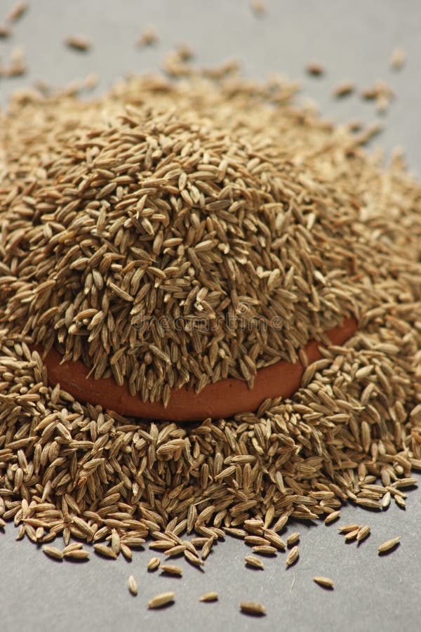 Cumin seeds stock image. Image of food, india, ingredients 38460241