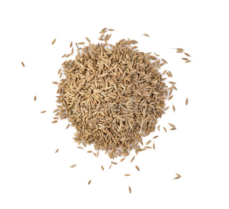 Cumin Seeds or Caraway Isolated on White Background. Stock Image
