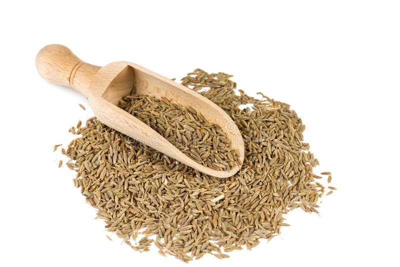 Cumin Seeds in a Spoon for Spices Stock Photo Image of spoon, white