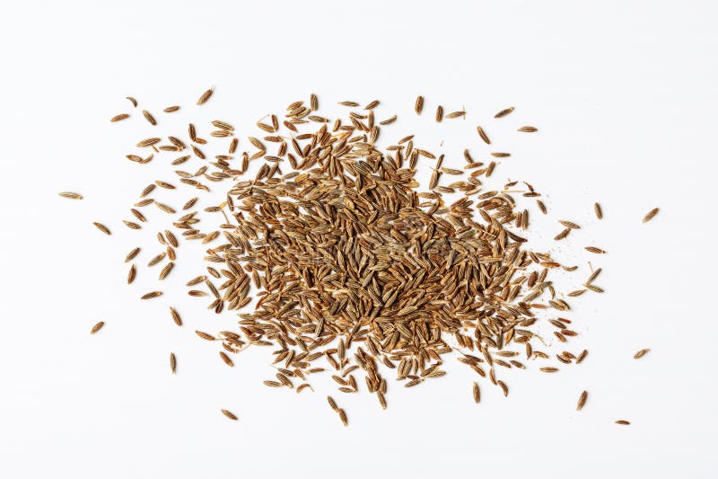 Cumin seeds or zira spice stock photo. Image of grain 271621120