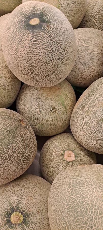 Cumulo di meloni freschi sul mercato della frutta immagine stock libera da diritti
