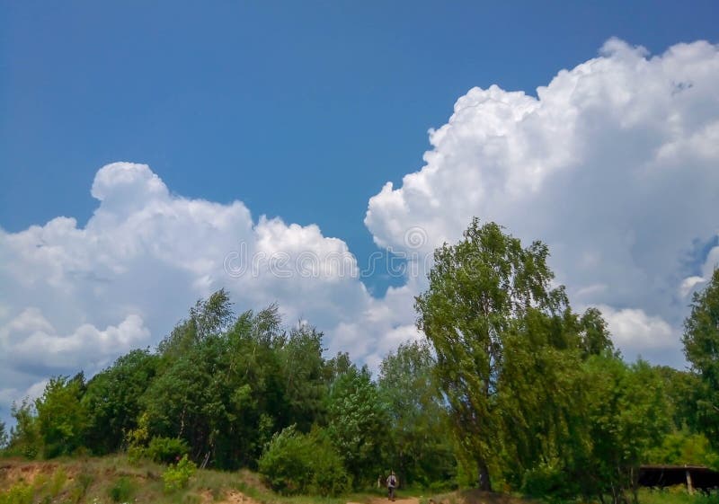 Cumulus clouds in sky above the forest royalty free stock images Cumulus clouds in sky above the forest royalty free stock images