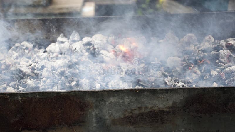 Cuochi della carne sui carboni caldi nel fumo Picnic in natura fotografia stock Cuochi della carne sui carboni caldi nel fumo Picnic in natura fotografia stock
