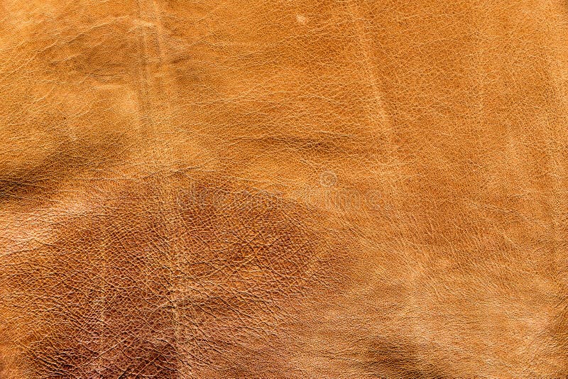 Bomber In Pelle Di Agnello Plongé Lucida | Saint Laurent - Foto 9