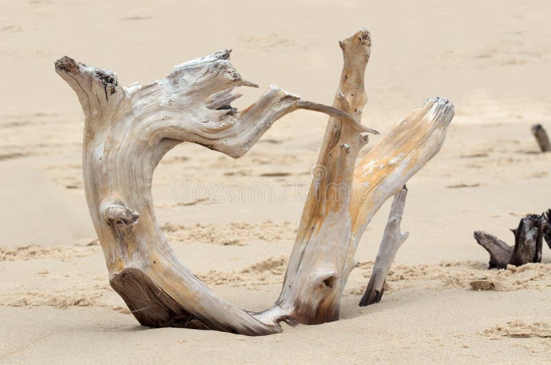 Cuore fotografia stock libera da diritti