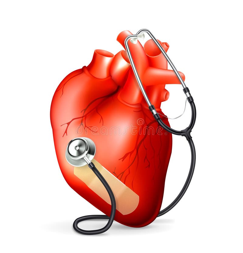 Heart and stethoscope, computer illustration on white background. Heart and stethoscope, computer illustration on white background