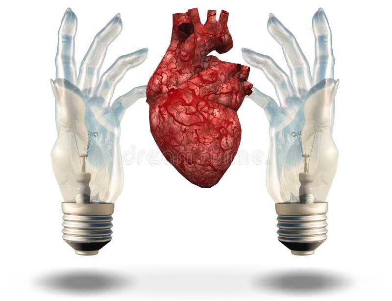 Two hand shaped light bulbs frame human heart. Two hand shaped light bulbs frame human heart