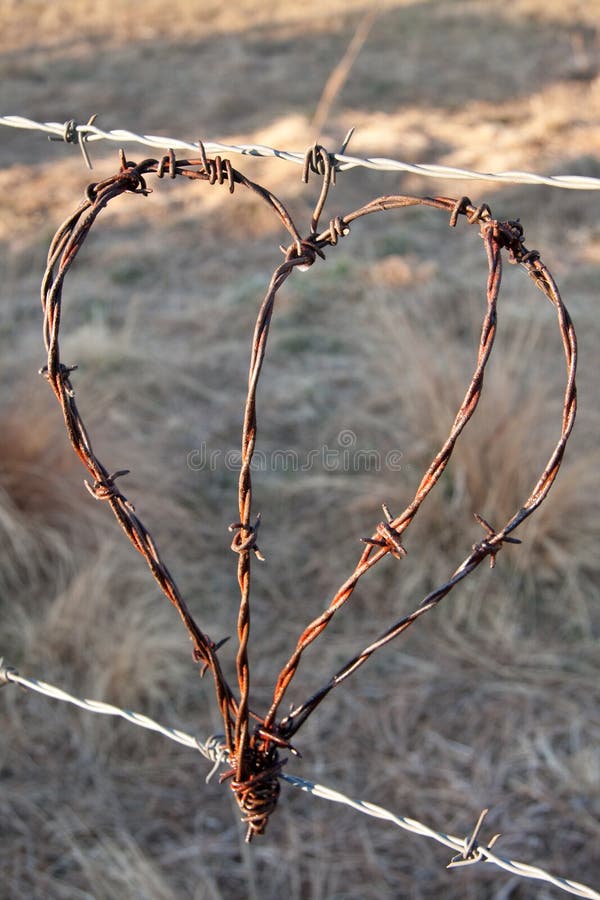 Cuore rustico immagine stock Cuore rustico immagine stock