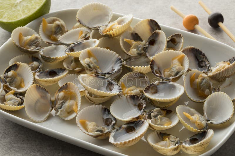 Cuori edule comuni cucinati freschi fotografia stock