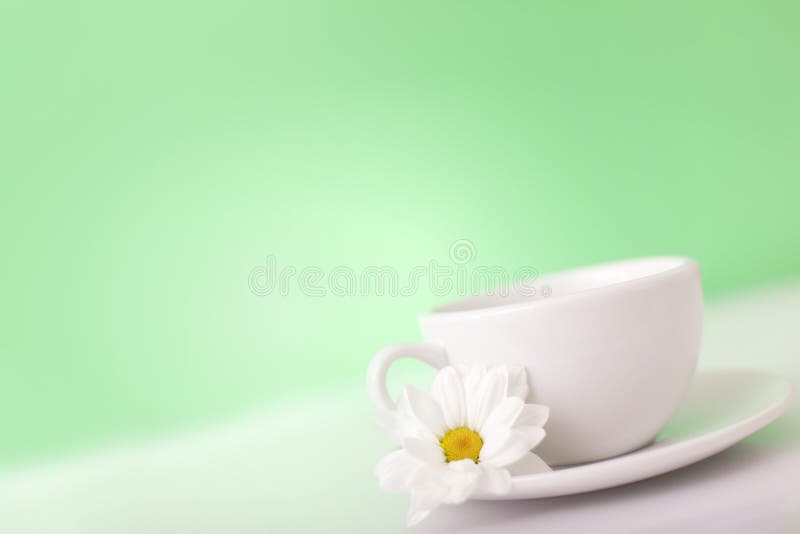 Cup royalty free stock photo