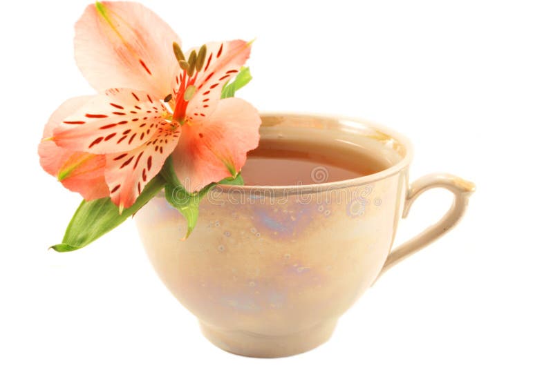 Cup Aromatee
