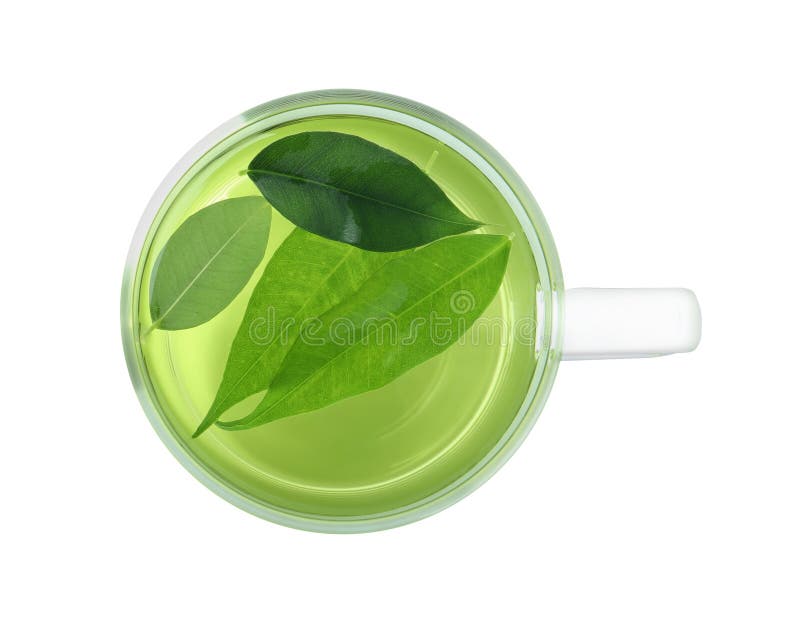 Cup of Aromatic Green Tea with Leaves Isolated, Top View Stock Image