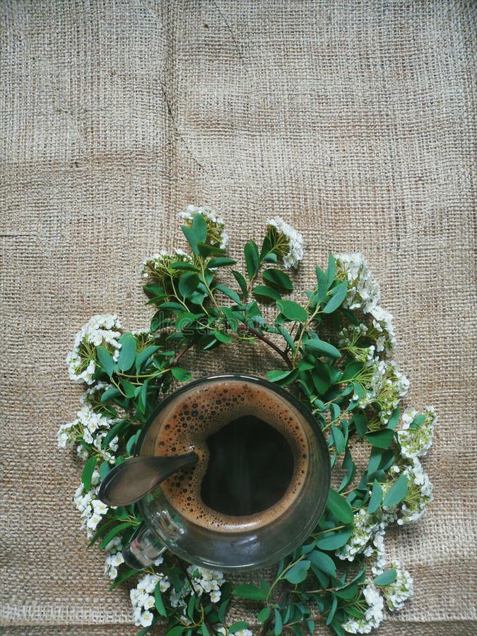 A Cup of Black Coffee and a Sprig of Flowers Stock Image Image of