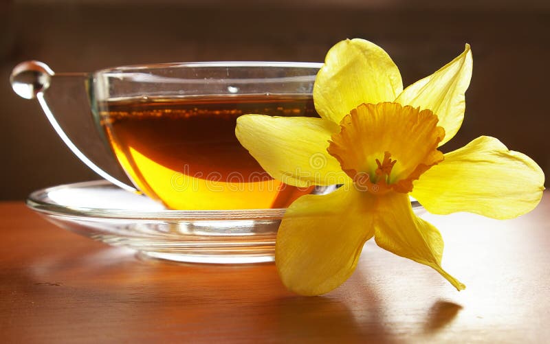 Cup of black tea and flower