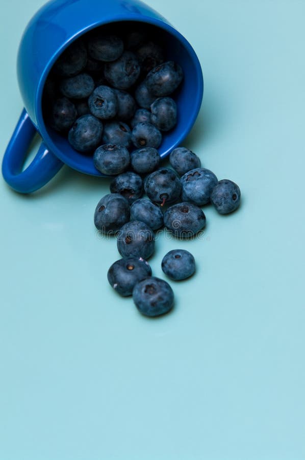 Cup of blueberries stock image. Image of blueberries 33116863