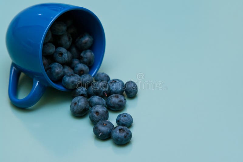 Cup of blueberries stock image. Image of blueberries 33116863
