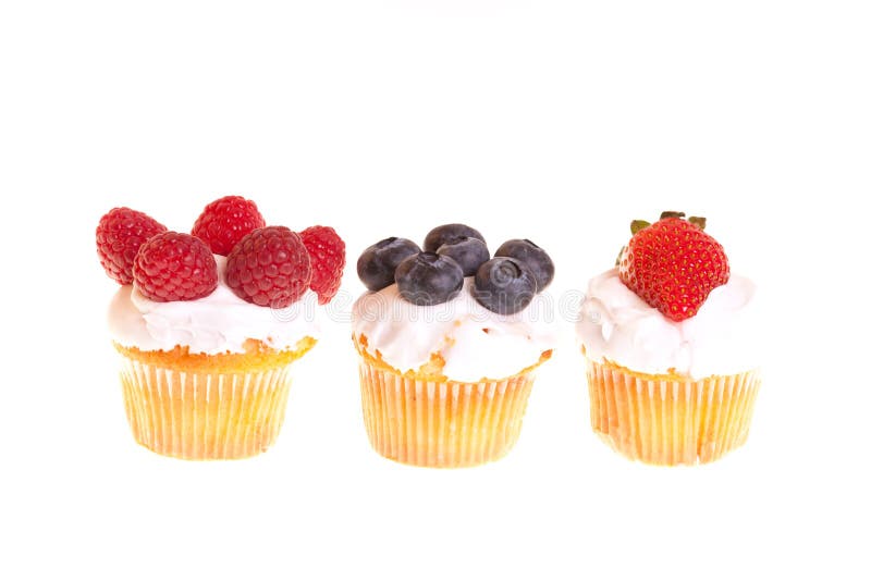 Cupcakes with web stock image. Image of food, party 21558533