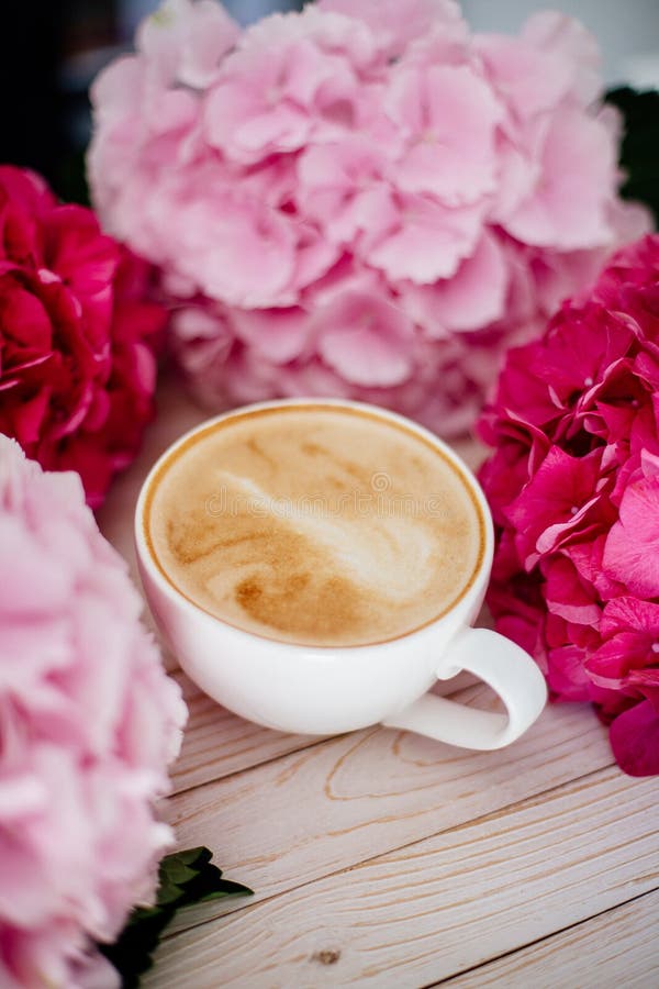 Cup of Cappuccino and Flowers. Stock Image Image of greeting