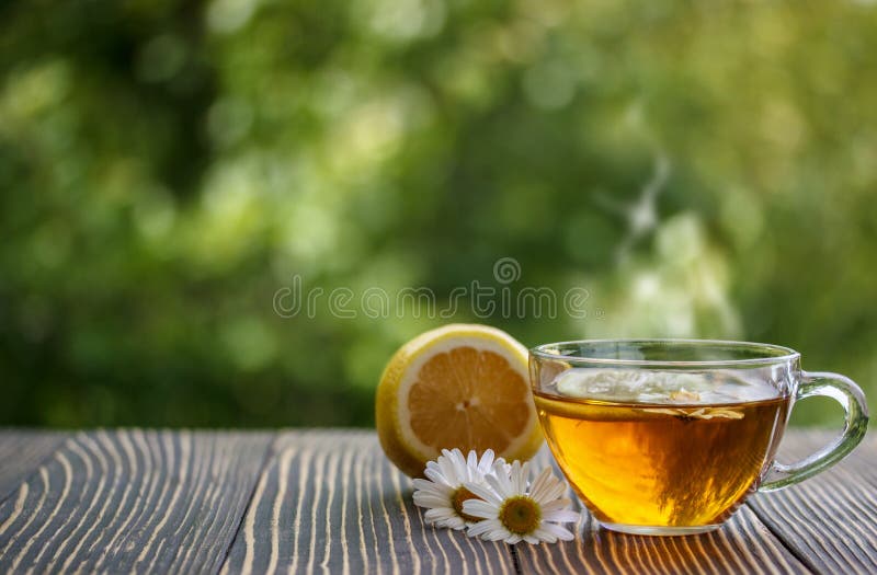 Cup of Chamomile Tea with Chamomile Flowers Stock Photo Image of camomile, morning 71881564