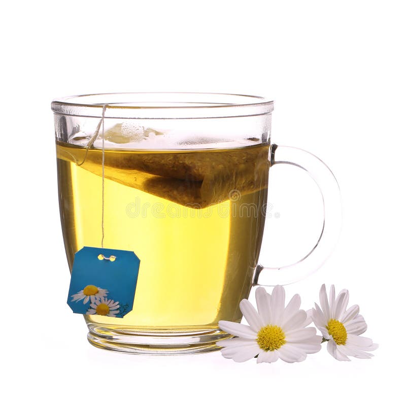 Cup of Chamomile Tea with Chamomile Flowers and Tea Bag Isolated Stock