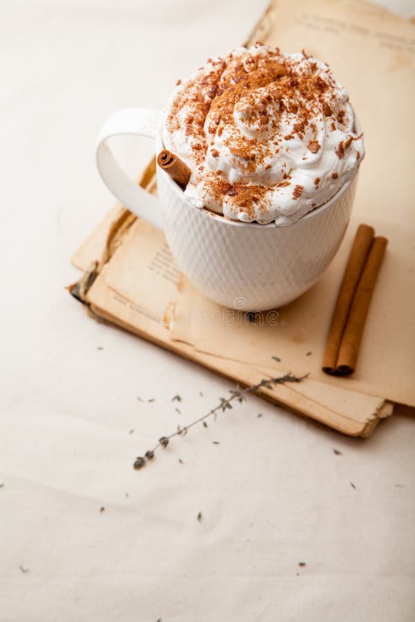 Cup of Cocoa with Cinnamon, Whipped Cream and Chocolate Stock Photo ...