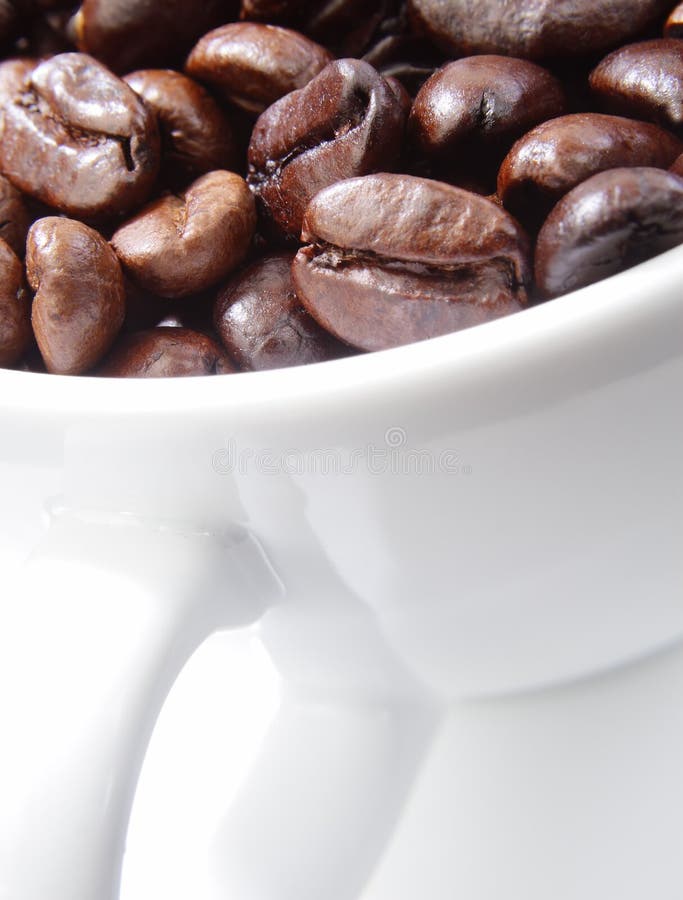 Cup Of Coffee Beans. Picture Image 3957718