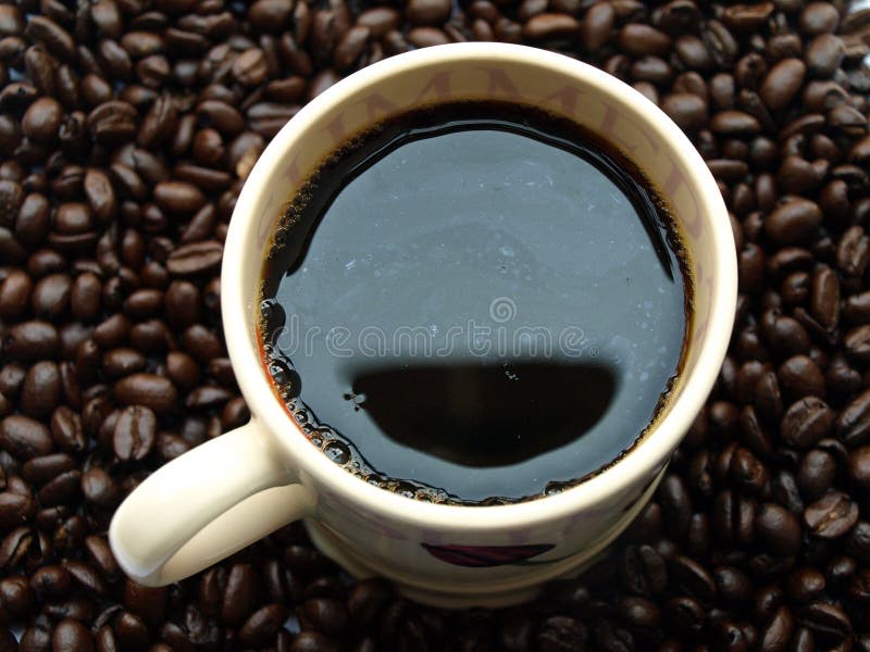 Cup of coffee with beans stock photo. Image of coffee 5534250