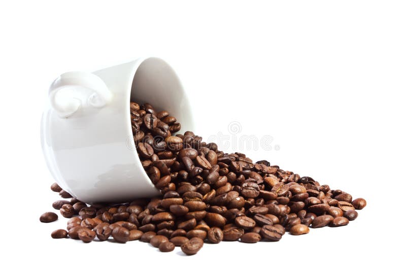 Coffee Beans in Cup stock photo. Image of modern, beans 25354124