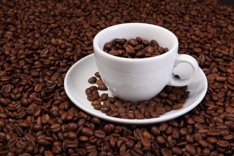 Cup of coffee beans stock photo. Image of food, drinks 30758644