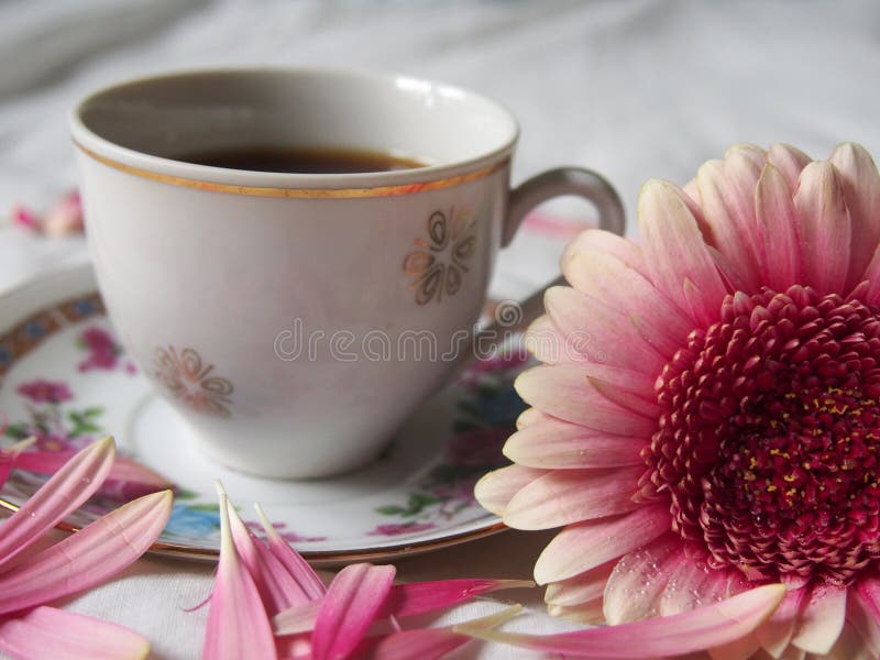 A Cup of Coffee with Flowers Stock Photo Image of blossom, flowers