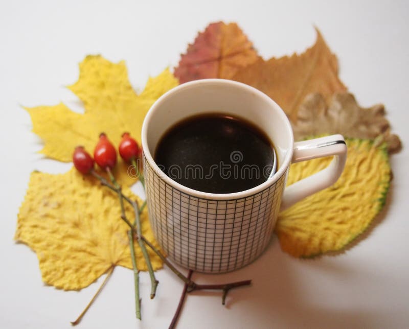 A cup of coffee and leaves stock photo. Image of nature 131098974