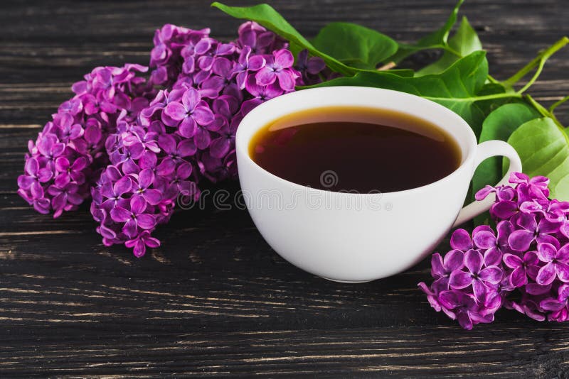 Purple Cup Images – Browse 83,806 Stock Photos, Vectors, and Video