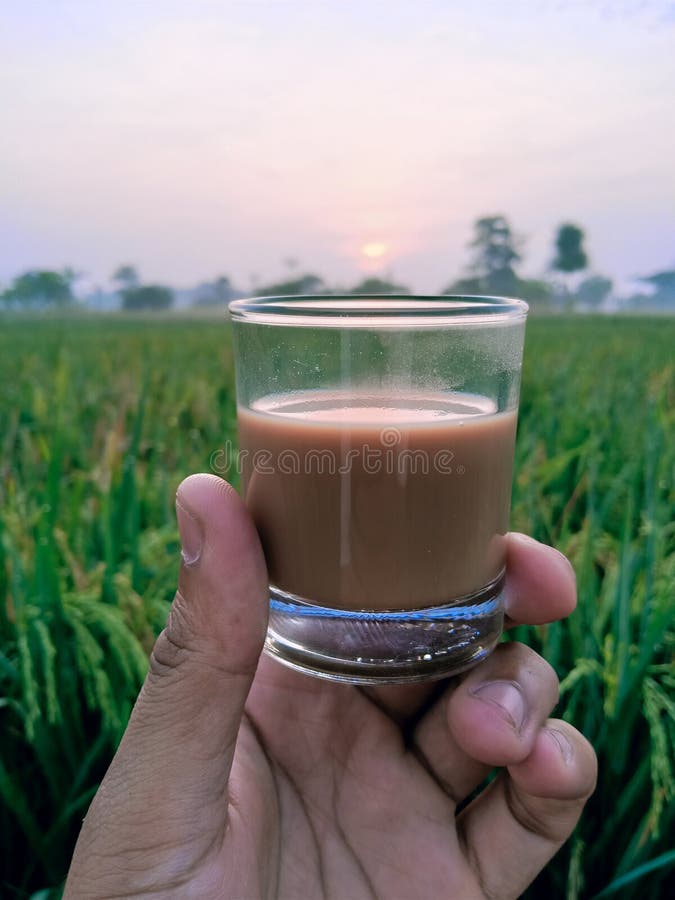 A Cup of Coffee in the Morning at Sunrise Stock Image Image of