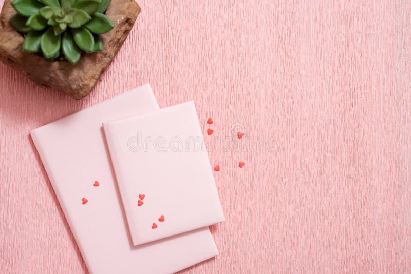 workspace desk styled design office supplies and cactuses succulents with copy space pink paper background.Template for feminine blog . minimal style. top view.angel on a pink background. Valentine. workspace desk styled design office supplies and cactuses succulents with copy space pink paper background.Template for feminine blog . minimal style. top view.angel on a pink background. Valentine