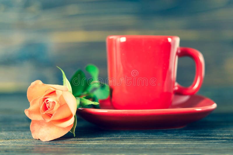 Red coffee cup and rose stock photo. Image of mother 146051342