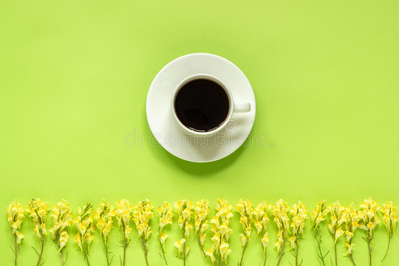 Cup of coffee and row yellow wild flowers Linaria on green paper background Flat lay Top view Concept Good morning or Hello spring Template for postcard, text or your design