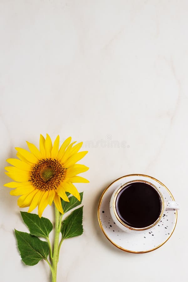 Cup of Coffee on Sunflowers Background Stock Image Image of