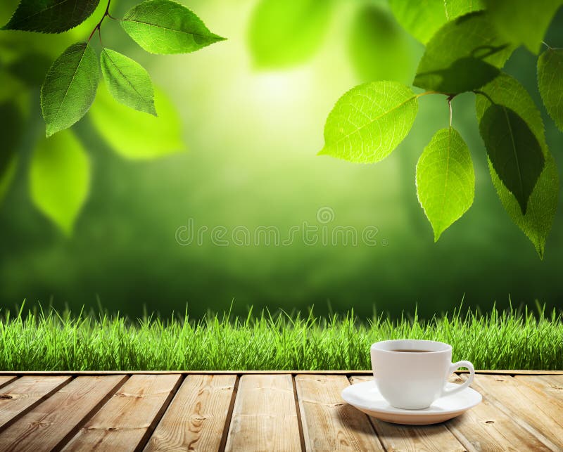 Cup coffee and sunny trees stock photo Cup coffee and sunny trees stock photo