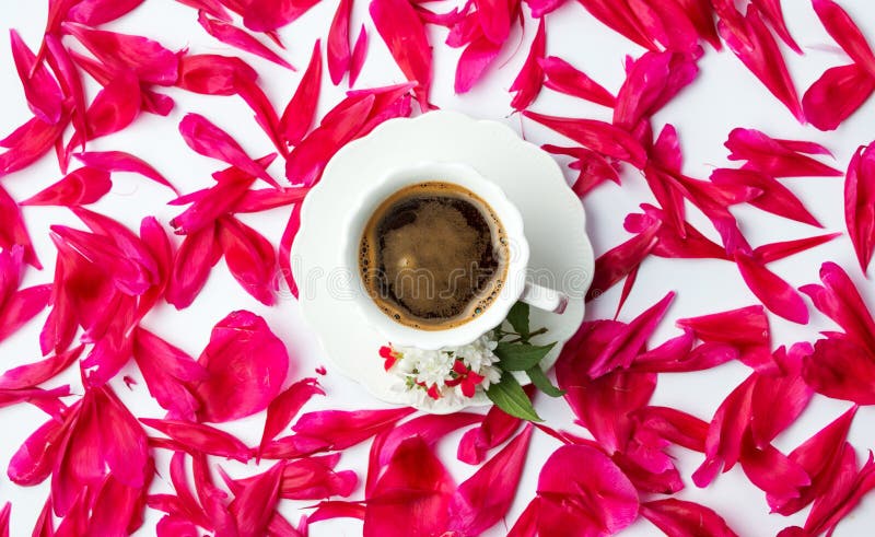 Cup of coffee surrounded by flower petals stock photography