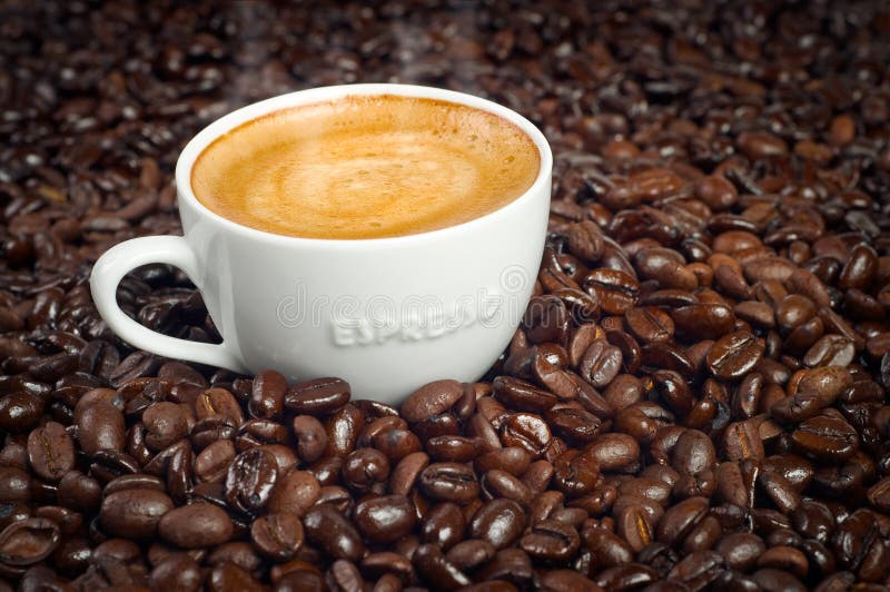 Cup of Espresso in Dark Roasted Coffee Beans Stock Image Image of