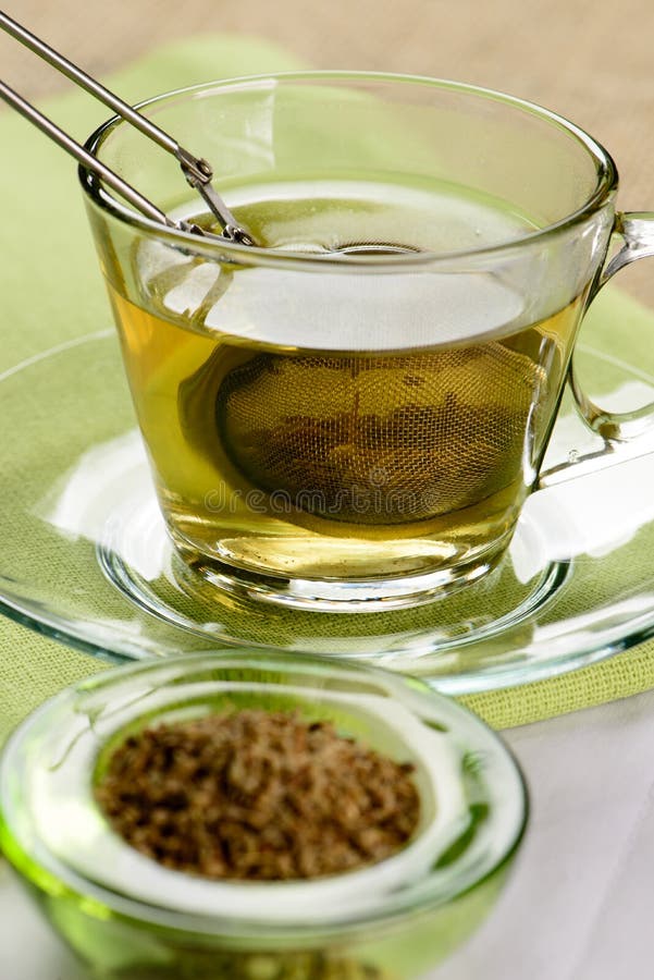 Cup of Fennel Tea with Infuser Stock Photo Image of medicine, sweets