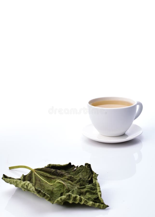 Fig Leaf Tea on with Various Benefits Stock Image Image of tree