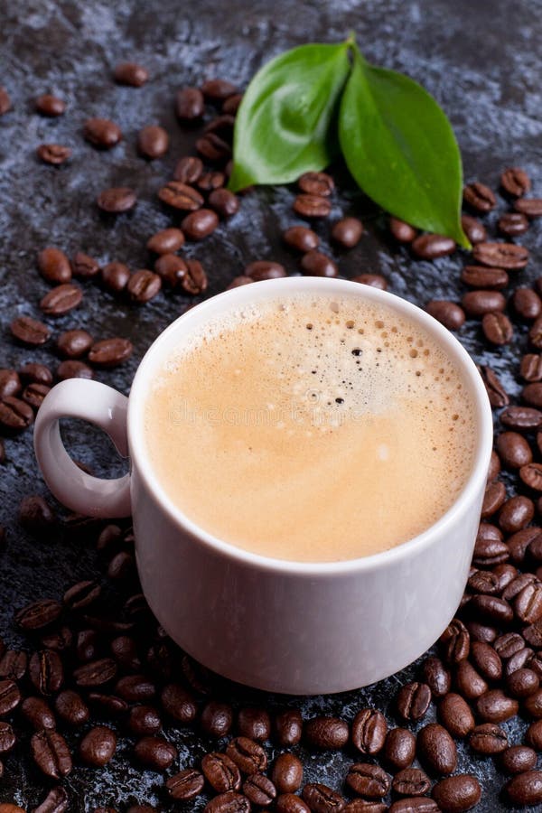 Cup of Fresh Americano on Coffee Beans Background Stock Photo Image