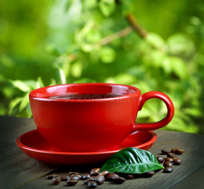 Cup of fresh coffee royalty free stock photo