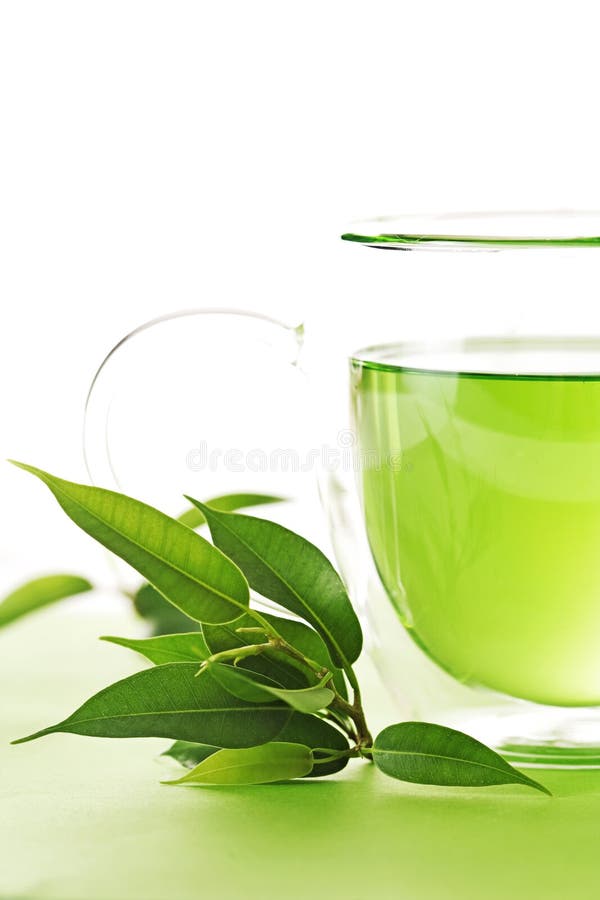 People keep tea leaves s stock illustration. Illustration of bright