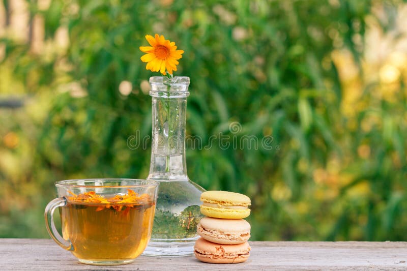 Cup of green tea, delicious macaroons cakes of different color and calendula flower with a stem in a glass flask stock images