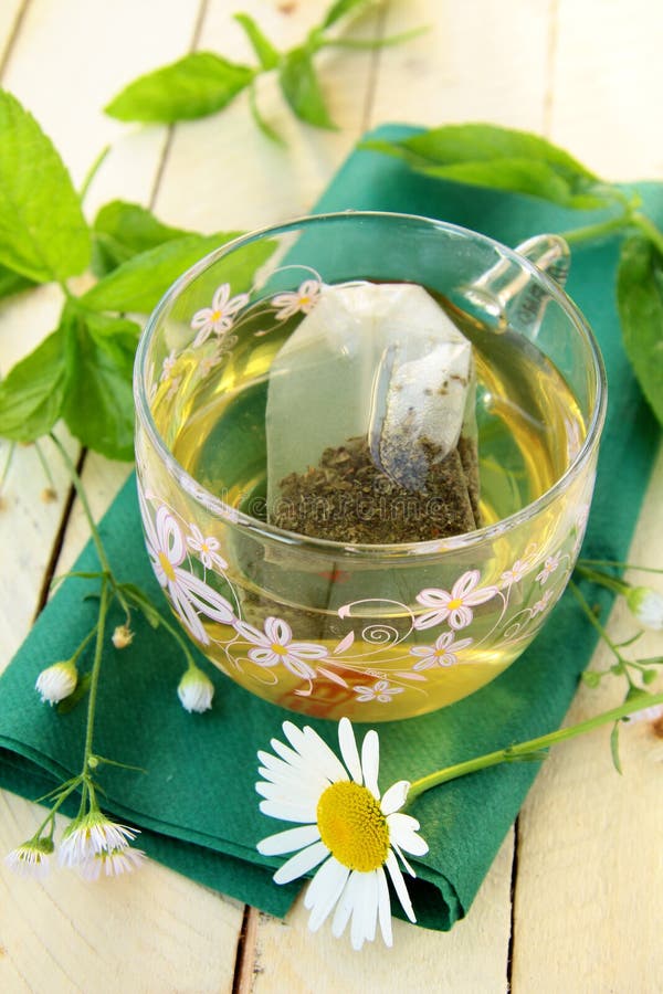 Cup of Green Tea with Herbs and Chamomile Stock Photo Image of drink