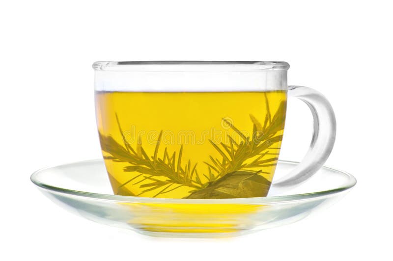 Cup of green tea isolated stock image. Image of floral 26160439