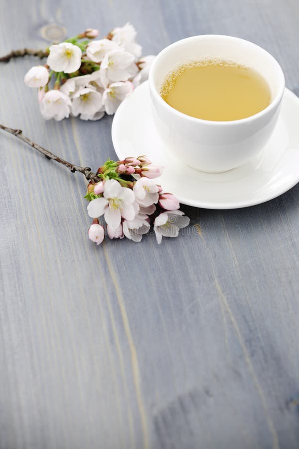 Cup Of Green Tea And Japanese Cherry Blossom Stock Image Image of
